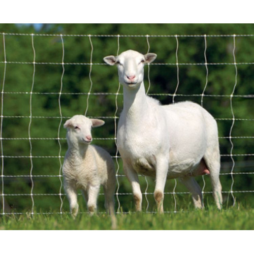 Tela Rural  Campestre para criação de animais (rolo de 50m)