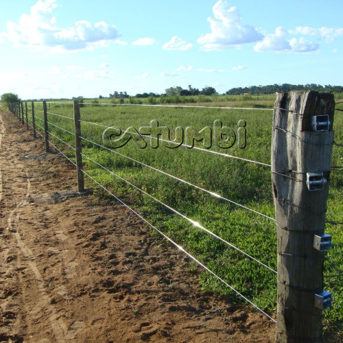 Arame Ovalado Pantanal Rolo 500m